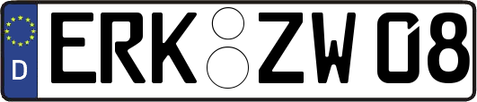 ERK-ZW08