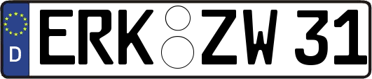 ERK-ZW31