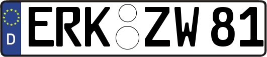 ERK-ZW81