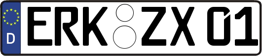 ERK-ZX01