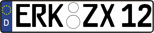 ERK-ZX12