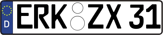 ERK-ZX31