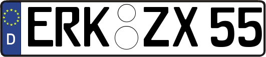 ERK-ZX55