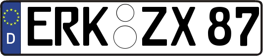 ERK-ZX87