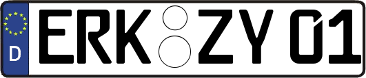 ERK-ZY01