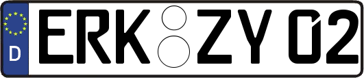 ERK-ZY02