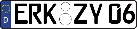 ERK-ZY06