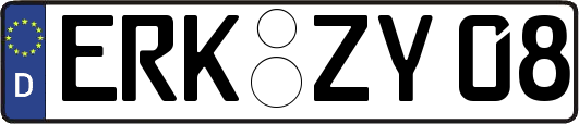ERK-ZY08