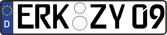 ERK-ZY09