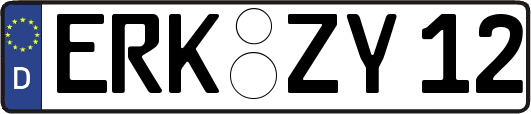 ERK-ZY12