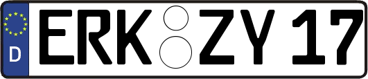 ERK-ZY17
