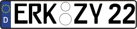 ERK-ZY22