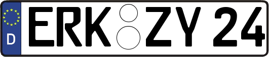 ERK-ZY24