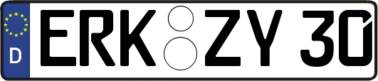 ERK-ZY30