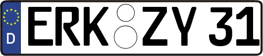 ERK-ZY31
