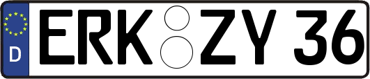 ERK-ZY36