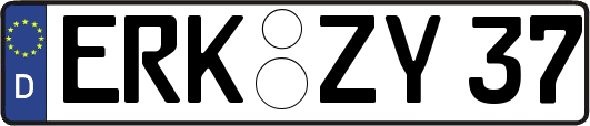 ERK-ZY37