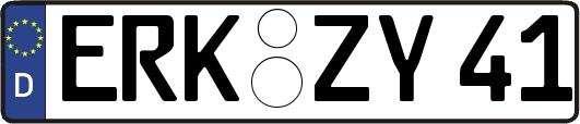ERK-ZY41