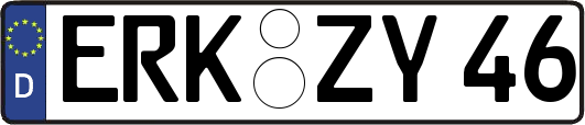 ERK-ZY46
