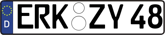 ERK-ZY48