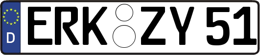 ERK-ZY51