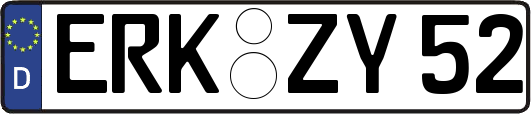 ERK-ZY52