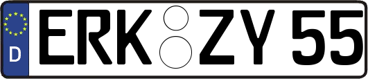 ERK-ZY55