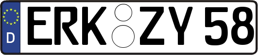 ERK-ZY58