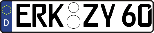 ERK-ZY60