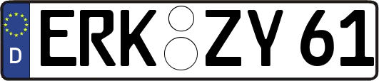 ERK-ZY61