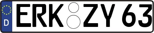 ERK-ZY63