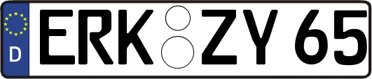 ERK-ZY65