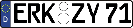 ERK-ZY71