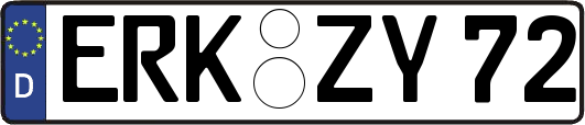 ERK-ZY72