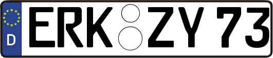 ERK-ZY73