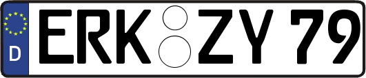 ERK-ZY79