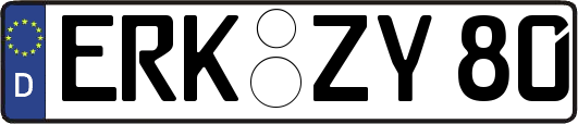 ERK-ZY80