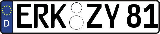 ERK-ZY81