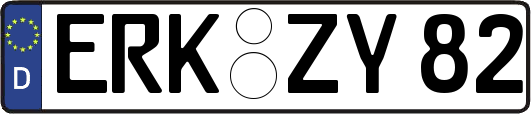 ERK-ZY82