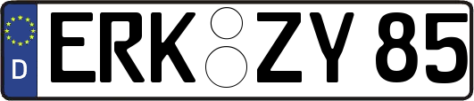 ERK-ZY85