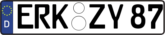 ERK-ZY87