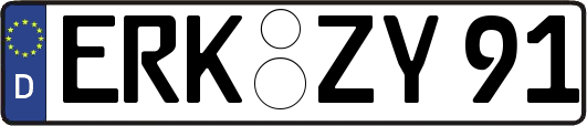 ERK-ZY91