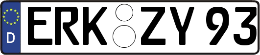 ERK-ZY93