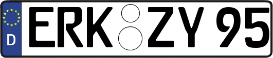 ERK-ZY95