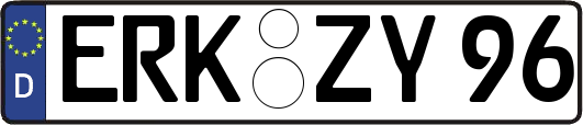ERK-ZY96