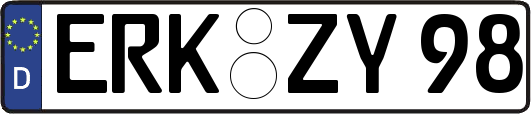 ERK-ZY98