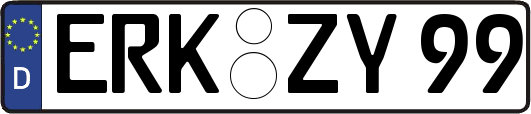 ERK-ZY99