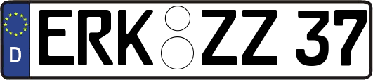 ERK-ZZ37