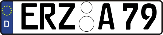 ERZ-A79