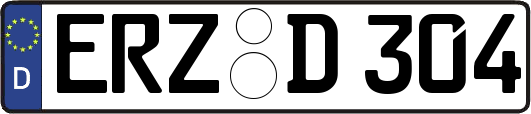 ERZ-D304
